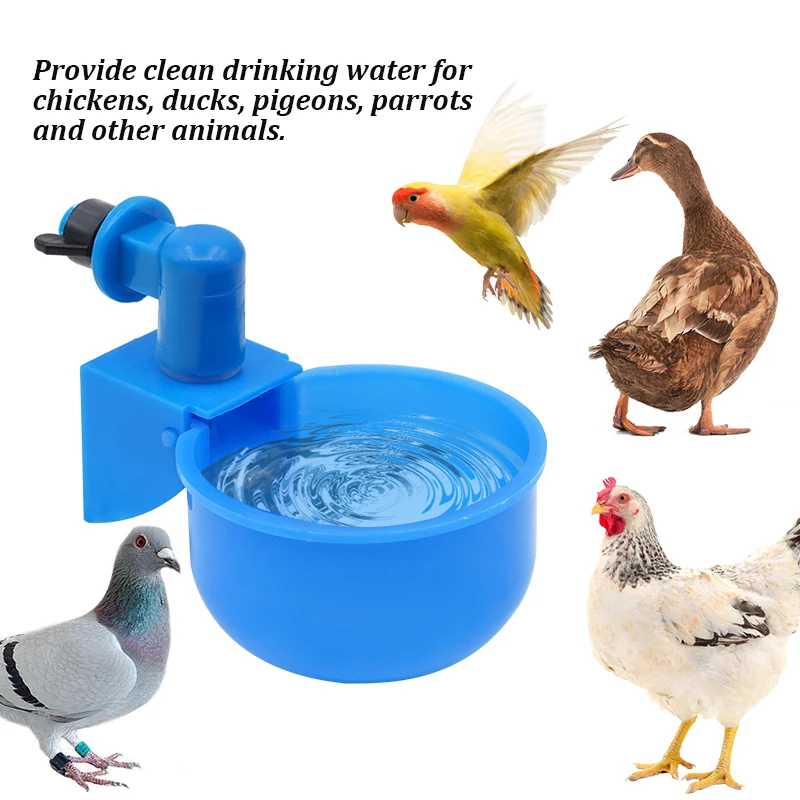 6pcs Chicken Drinker Cup Poultry Automatic Drinking Chicken Feeder Plastic Poultry Waterer Drinking Water Feeder for Chicks Duck