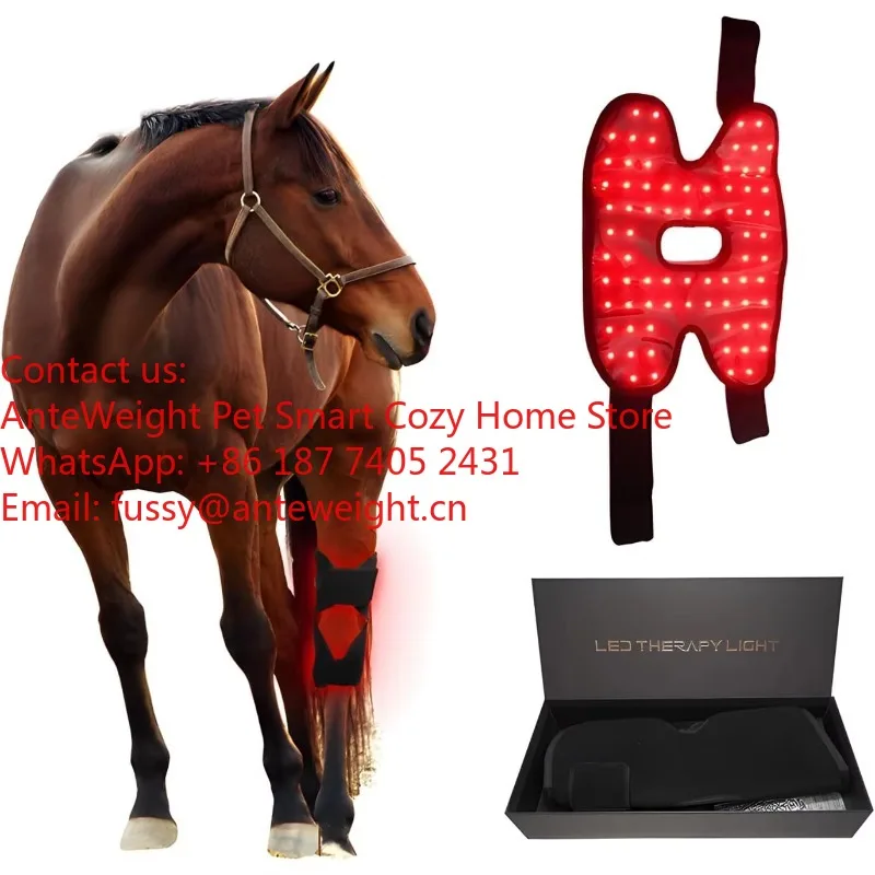 3-Chips Horse Red L…
