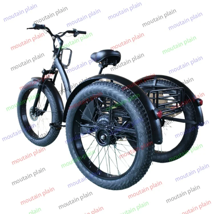 Electric Cargo Tricycle for Adult 20inch Fat Tire Electric Tricycles Electric Cargo Bike  E Trike