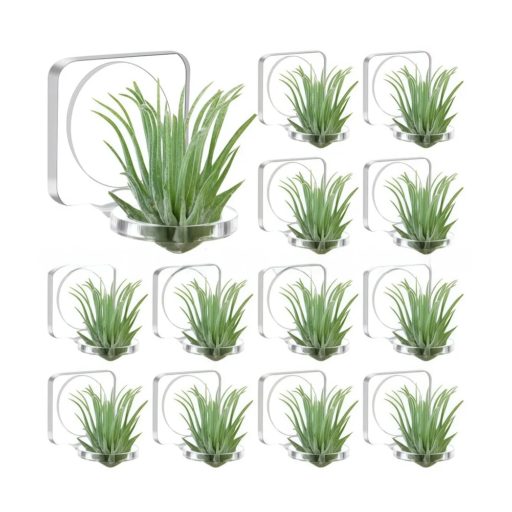 Clear for acrylic Plant Display Shelf for Natural Light Enhancement and Visual Continuity in Living Rooms Kitchens and Studios