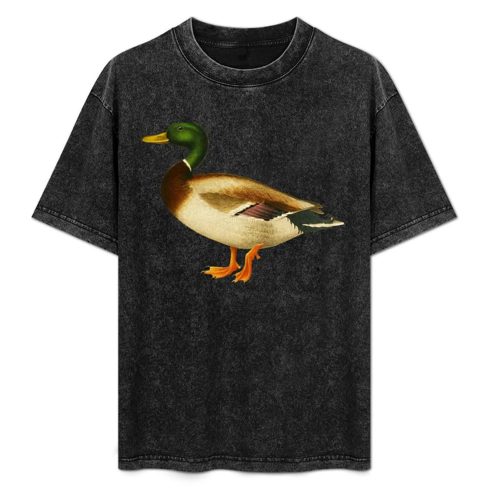 

Mallard Duck Cute Wild Duck Lover Ducky T-Shirt Fashion Simple Casual Tee Shirt