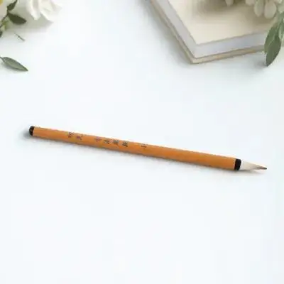 

Small Calligraphy Pens Brush Pen for Beginners Sturdy Practical Chinese Characters Writing Painting Tools Students Novices Kids