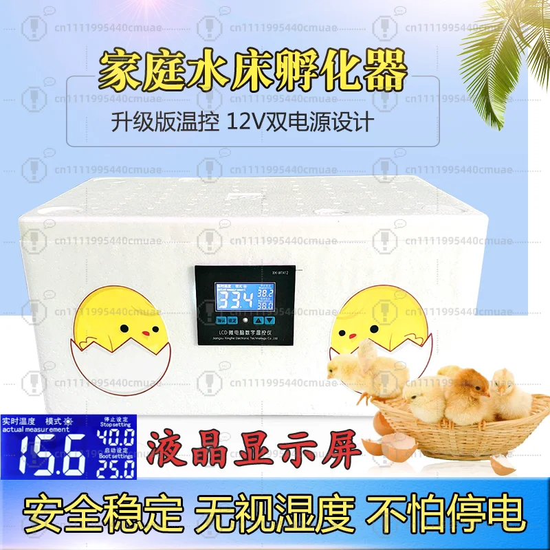 Water bed incubator 12V dual power supply household type thermostatic incubator chicken duck goose peacock quail small incubator