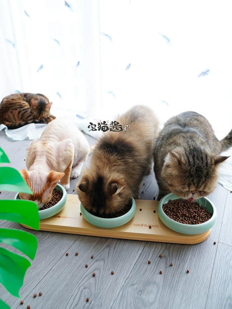 

Solid Wood Rice Bowl for Cat, Water Bowl, Non-Slip Single Bowl, Environmental Protection