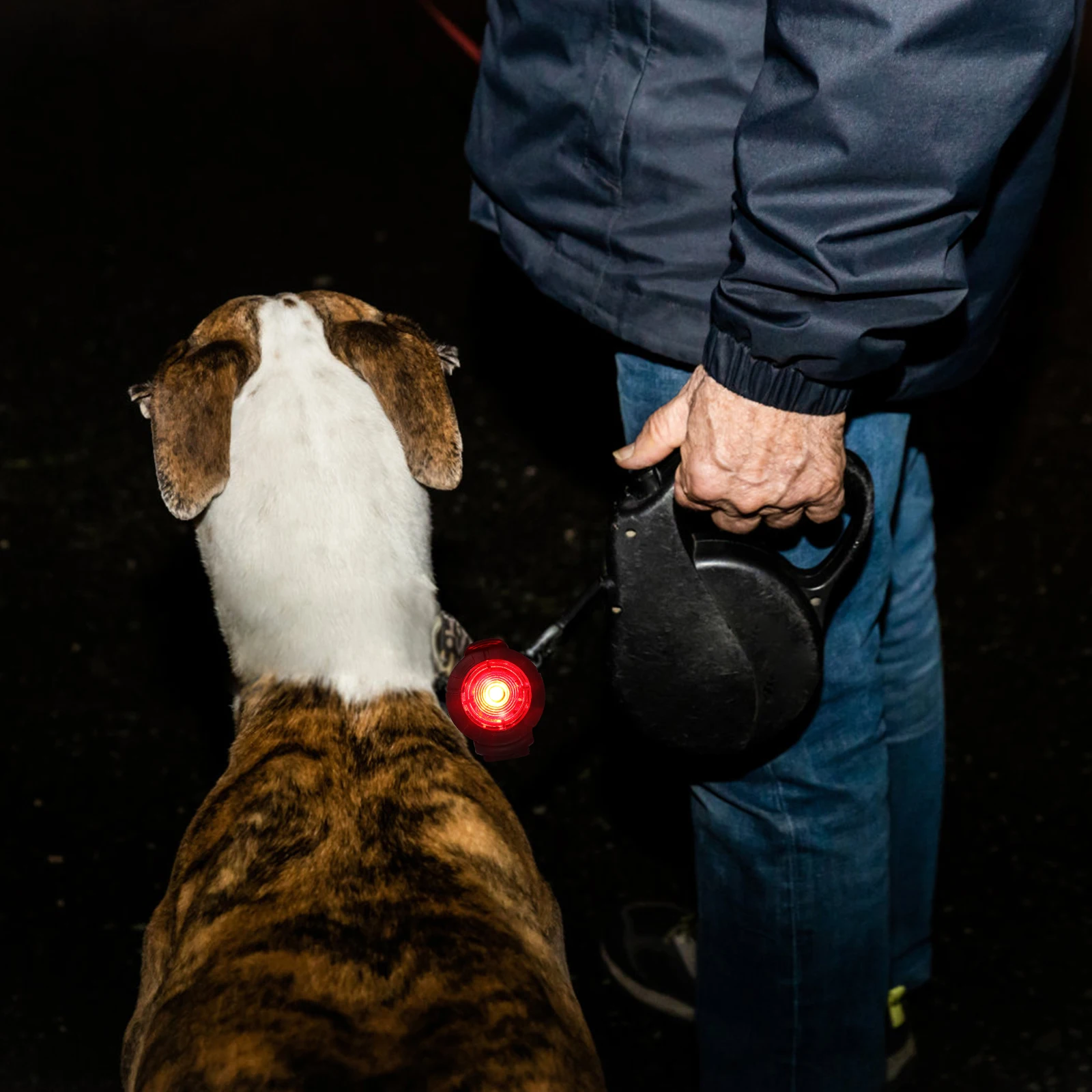 

1 Reinforced Lamp Strap Design Plastic Collar Pet Dog Light Night Safety Portable Walking Lamp Easy Use Water Resistant for Pet