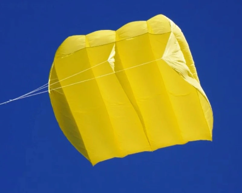 Large Pilot kite flying octopus kite nylon panda kites for adults reel acrobatics weifang kite Parachute kite surf sports kite