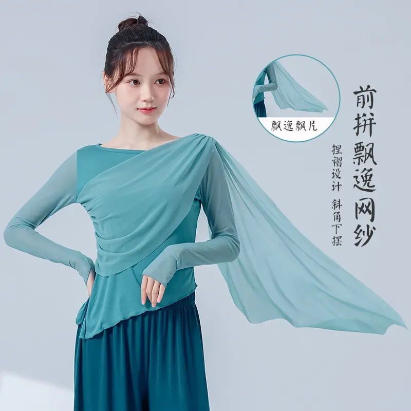 Modern Dancers Mesh Splicing Irregular Long-sleeved Tops Dancers Daily Body Training Practice Clothes Classical Dance