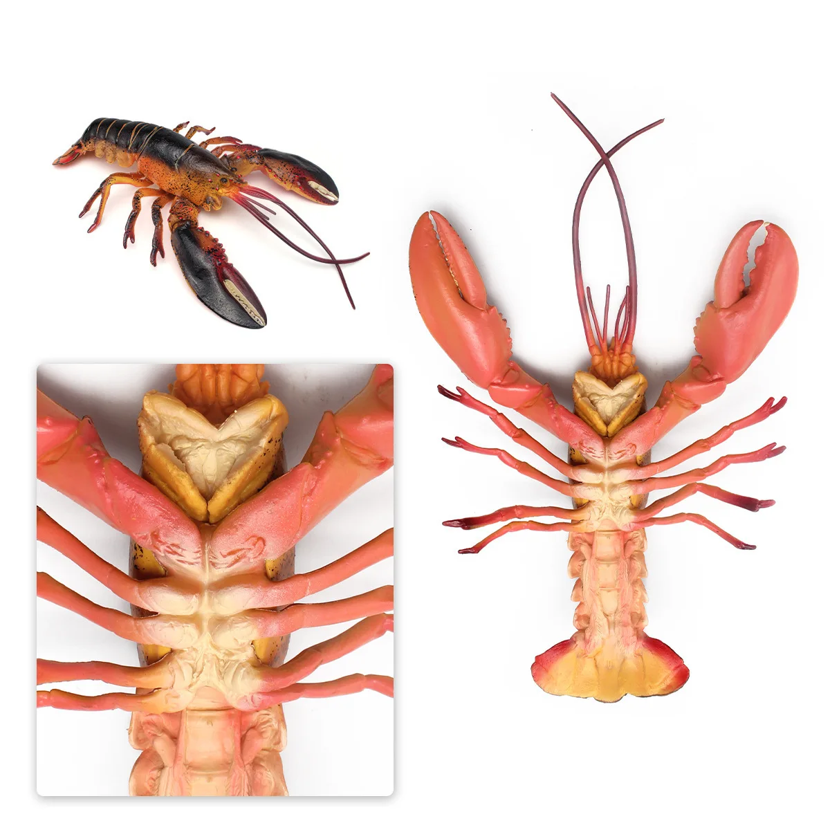 Realistic Maine Lobster Model Boston Lobster Figurine American Lobster Animal Sculpture Desktop Decoration Photography Prop