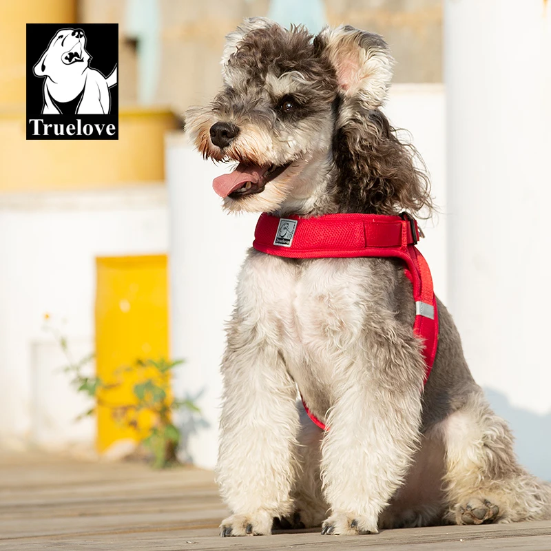 TrueLove Fácil de aceitar o arnês de cães de moda macia design de moda