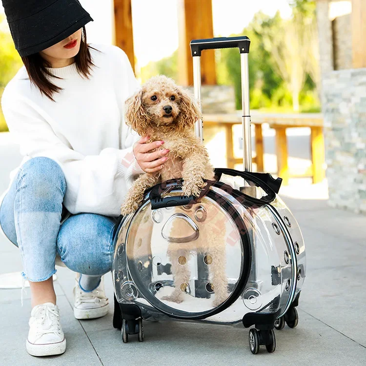 

Portable Multi-purpose Pet Backpack When Going Out, Large-capacity Pet Air Case, Transparent Cat Bag Wholesale.