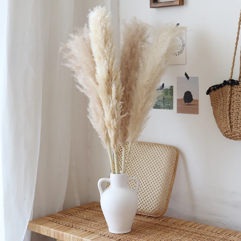 

80cm Tall Natural Dried Pampas Grass Bouquet, Boho Home Decor, Dried Flowers bouquet for Office Decor, Bouquet for Wedding Decor