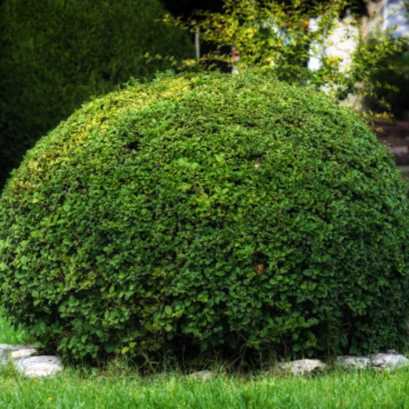 

For RC Cars HSP 102059 122059 Aluminum Fuel Tank Cover 02004 1/10 Upgrade Parts For 94122 94155 94166 94177