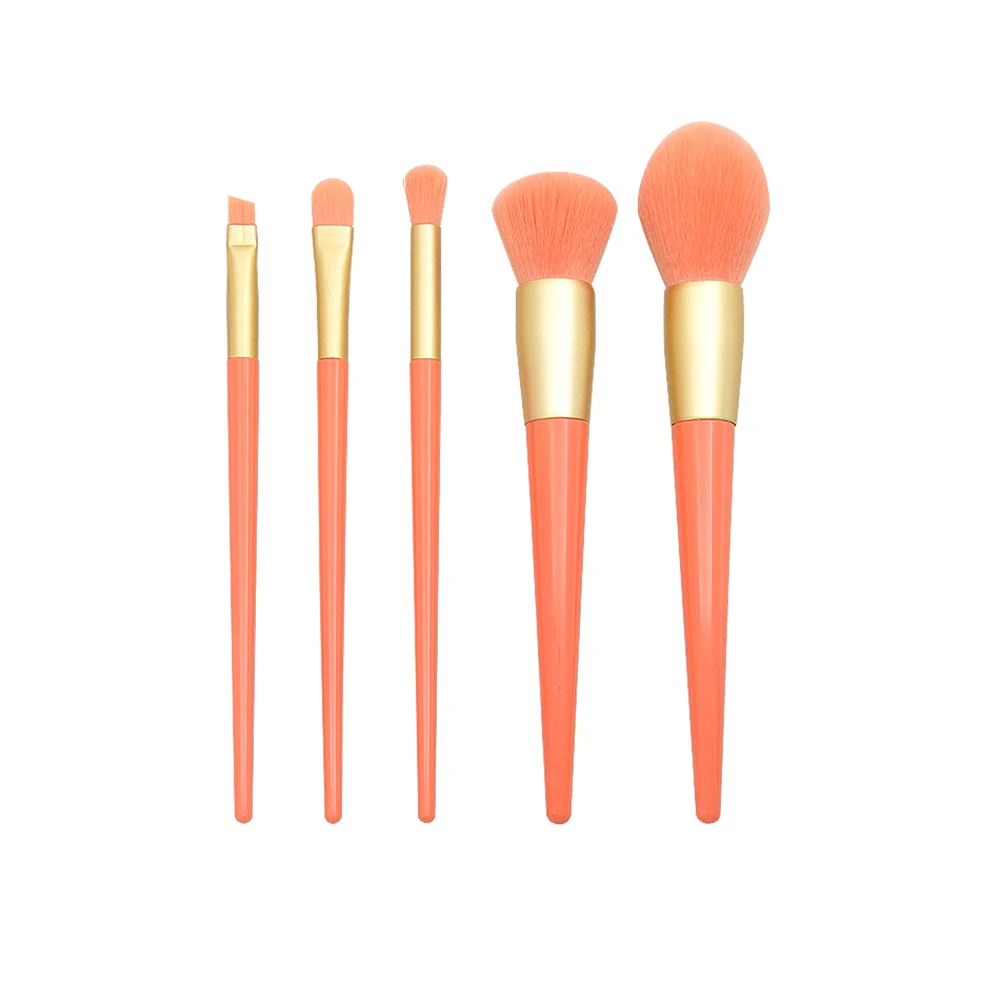Set di pennelli per trucco da 5 pezzi Kit di pennelli per fondotinta, leggeri, portatili, riutilizzabili, di alta qualità