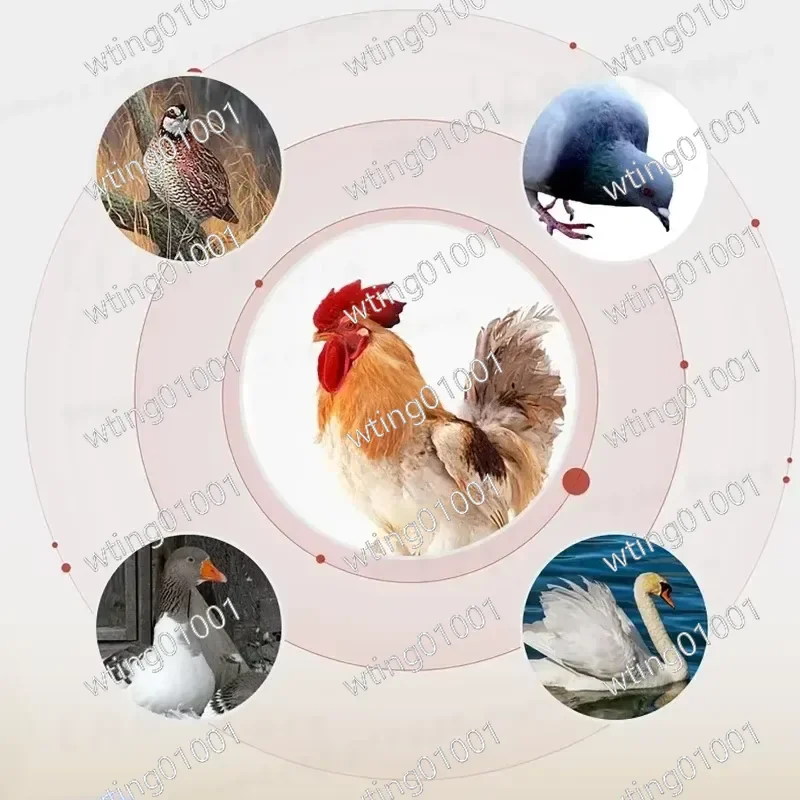 24 Eggs Incubator for Chicken Eggs Led Candler Automatic Egg Turner Temperature Control Poultry Hatcher for Chick Duck Quail