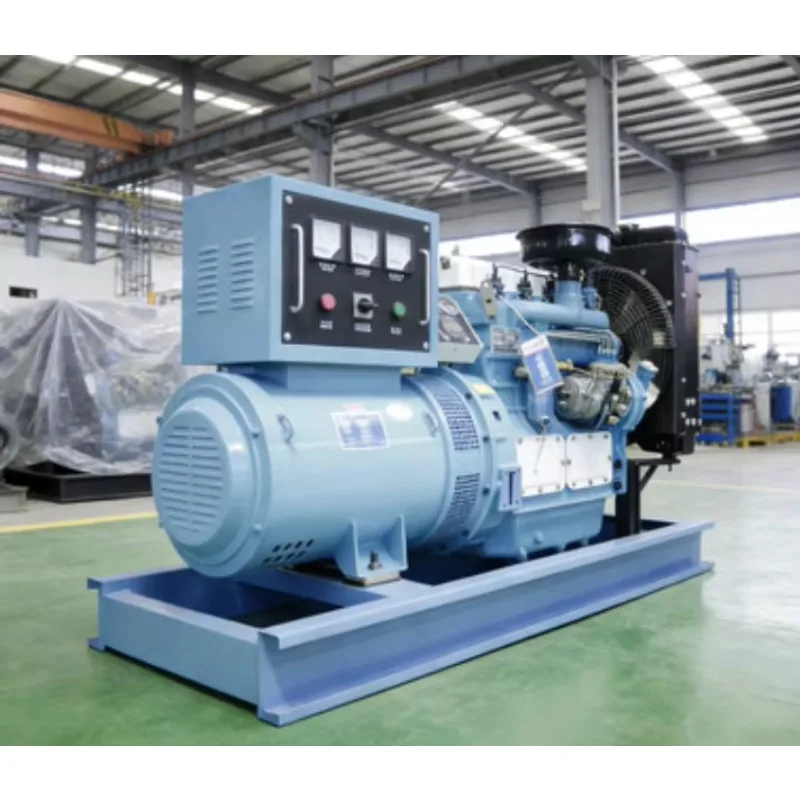 Portable Generator Set Open Frame Small Diesel Engine Generator Set Auto Start Remote Start Home Backup Power Factory Price