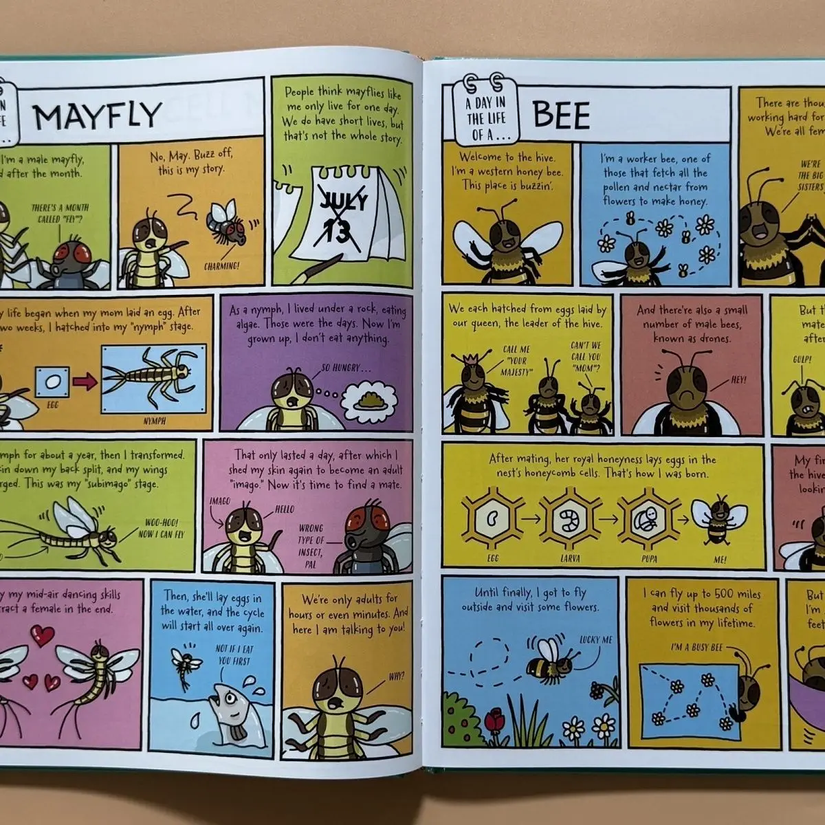 3-Book Hardcover Children's English Comic Book Series (Glossy Paper) by Mike Barfield