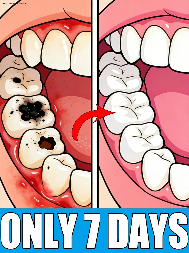 

Maintain healthy teeth; various packages are available.