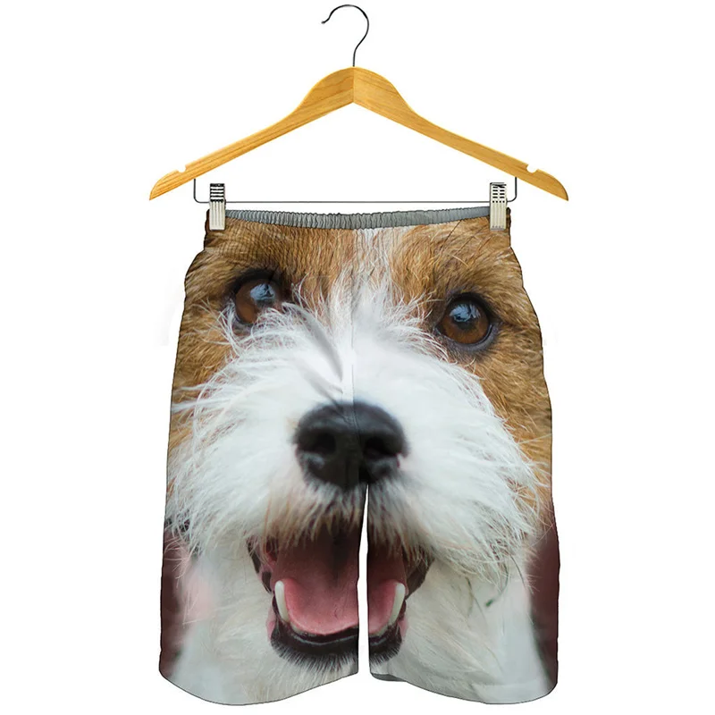 

Jack Russell Terrier Pattern Short Pants For Men Summer Beach Shorts 3D Printed Animal Dog Surf Board Shorts Swimming Trunks