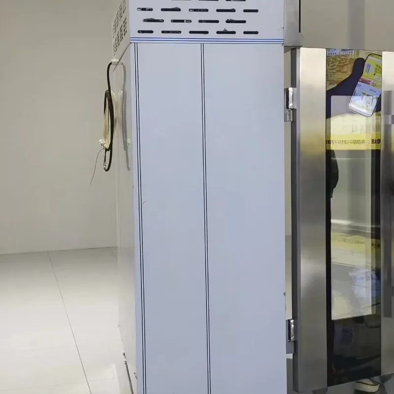 High Humidity Thawing Cabinet for Frozen Mutton with 12-15C Working Temperature Commercial defrost cabinet Meat thawing Custom