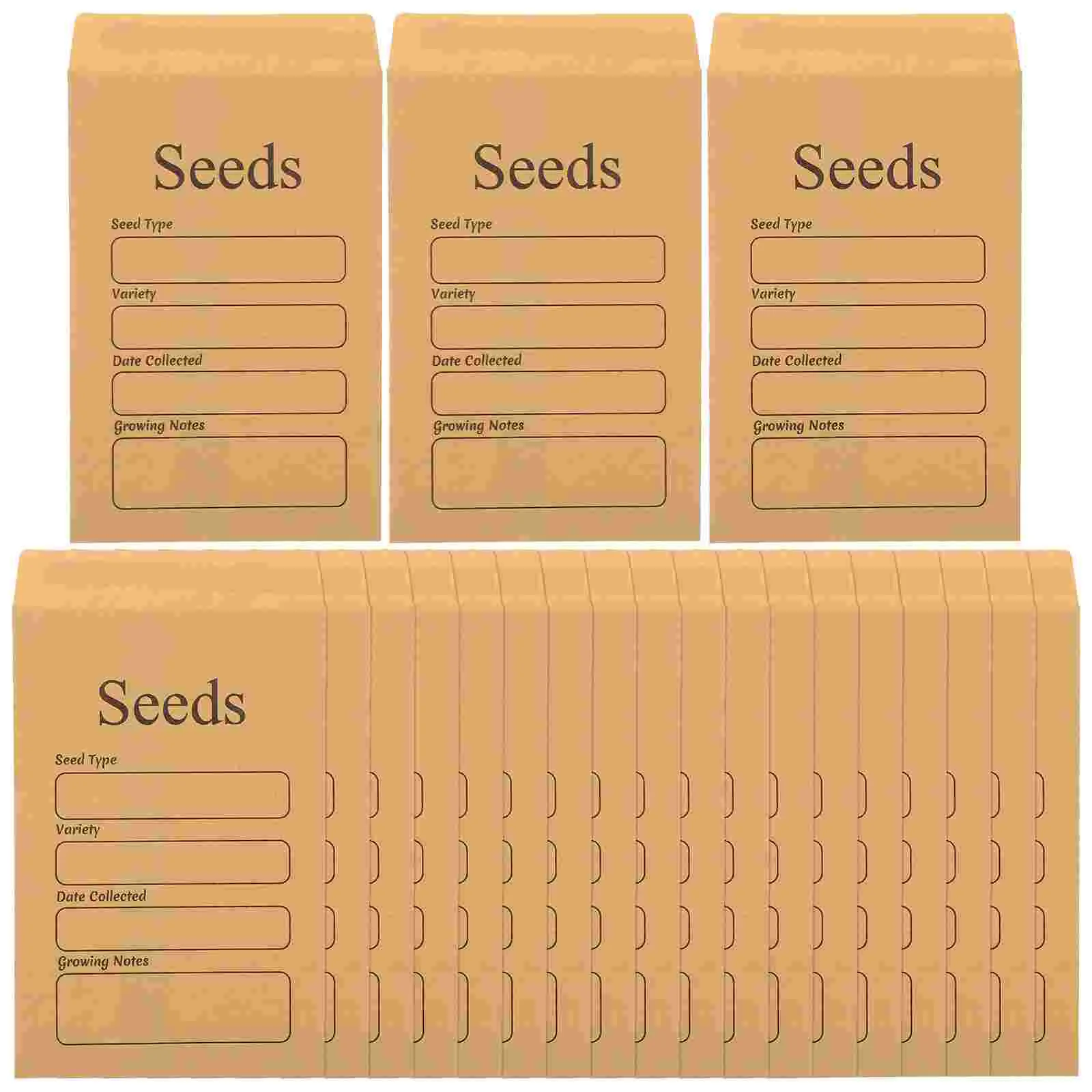 

50 Pcs Seeds Letter Envelopes Paper Bags Money for Cash Mailing Seal Packets Wage Small Tiny Coin