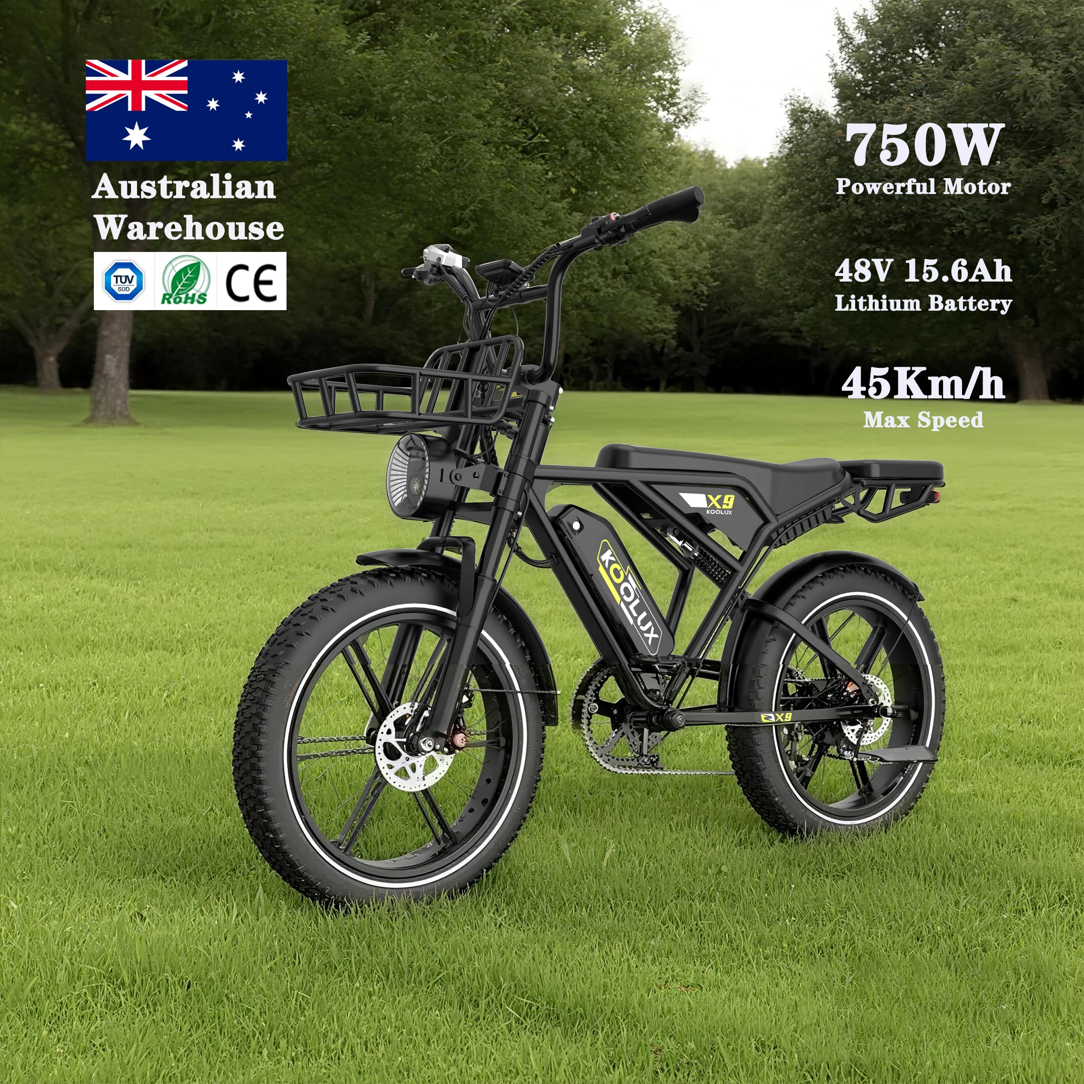 

ForElectric Bicycle 750w With Pedal Assist System Retro Fat Tire Electric Dirt Bike 48VEbike Mountain X9 For EU Australia