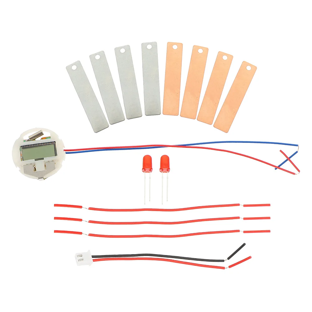 

2 Sets Fruit Experiment Kit Electrical Science Toys for Kids Physics Metal Student Educational DIY Project