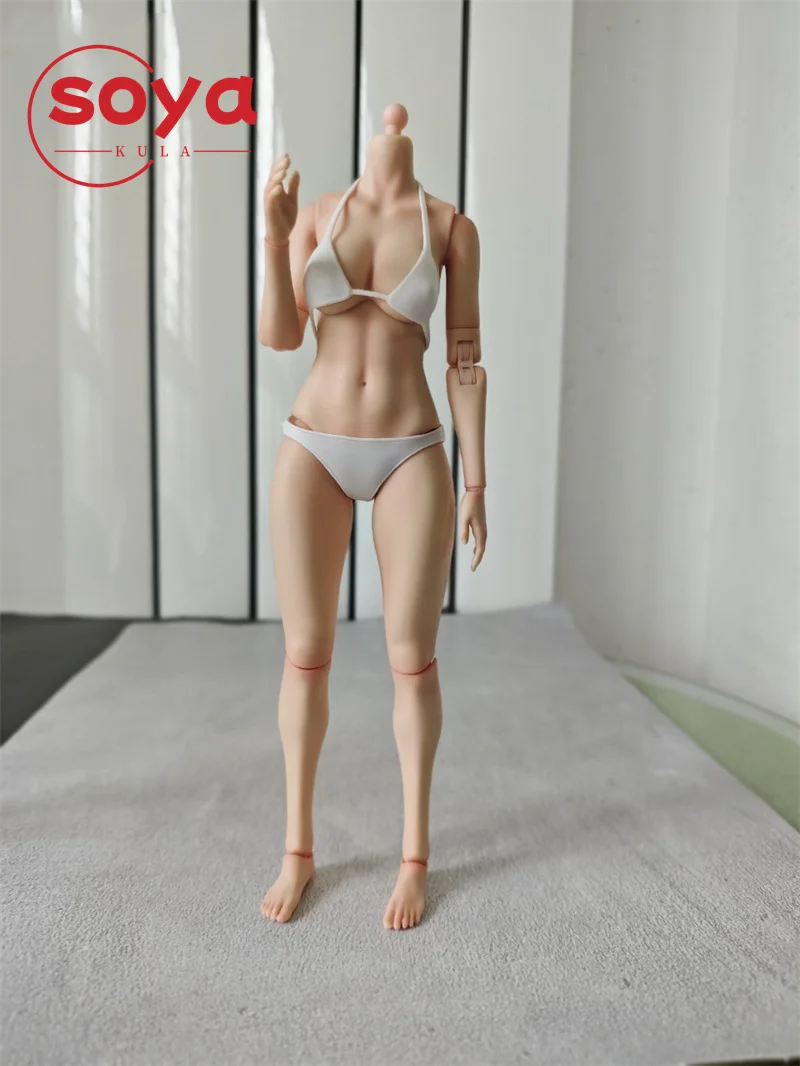 True1Toys EC3027 EC3028 1/6 Female Narrow Shoulder Articulated Joints Body 12'' White Light Wheat Action Figure Doll