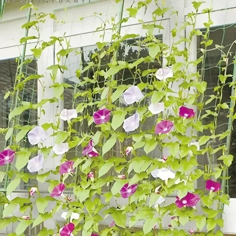 Plant Trellis Pergolas Garden Plant Climbing Net Nylon Trellis Netting with Square Mesh for Climbing Plants, Vegetables