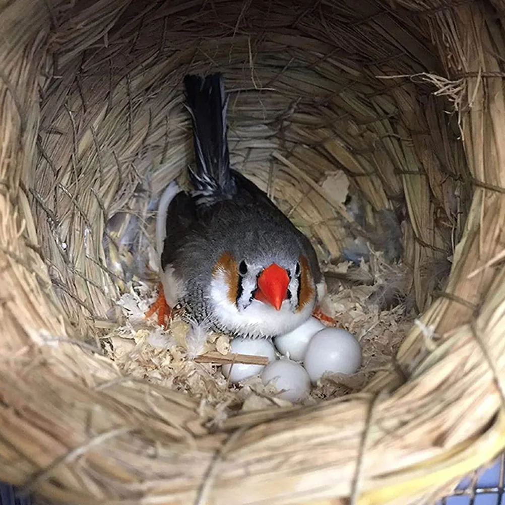 

12pcs Simulated Smooth Round Plastic Diy Supplies Egg Props For Diy Graffiti Festival Decor Bird Nesting Supply