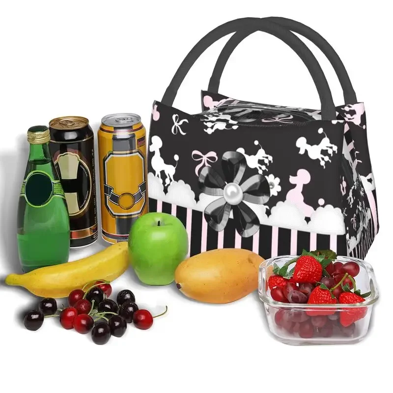 Poodles Gift Lunch Boxes Women Waterproof Cartoon Poodle Dog Thermal Cooler Food Insulated Lunch Bag Travel Work Pinic Container