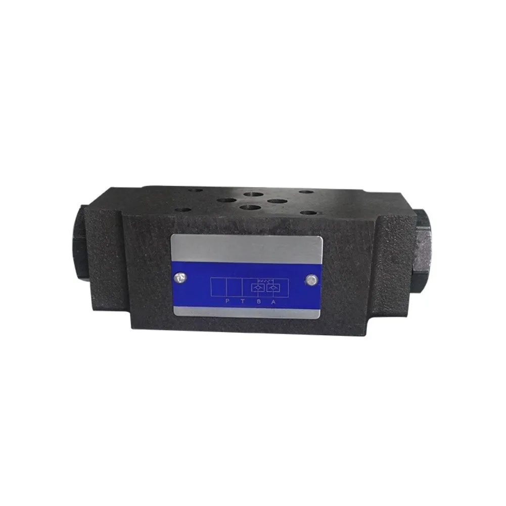 Cast Iron Valve Hydraulic Check Valve Black Friction Elimination Hydraulic Component Pressure Holding Capability