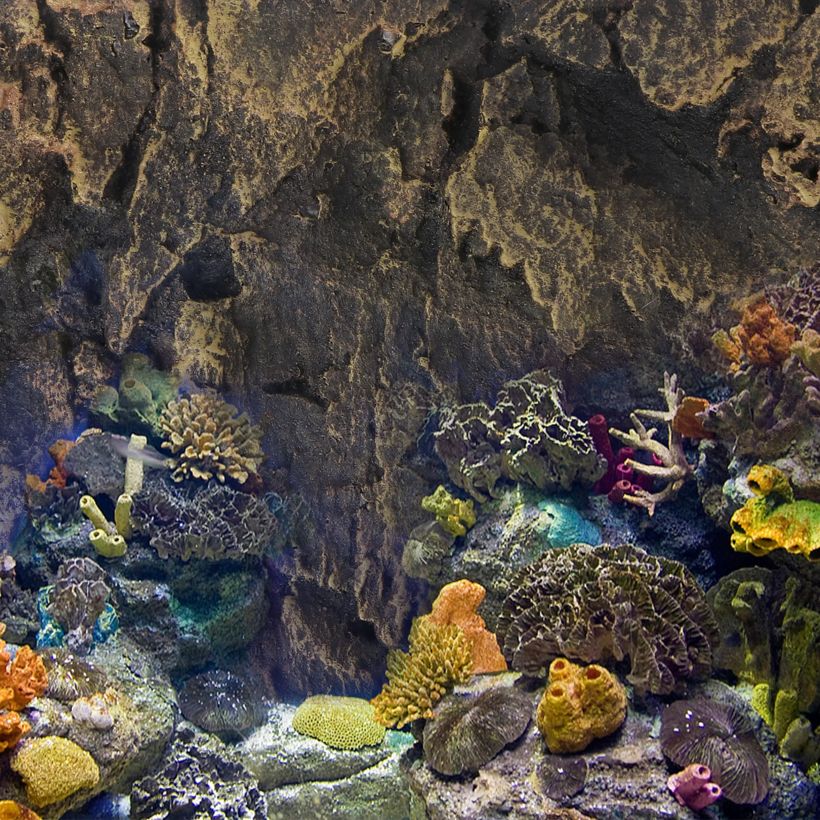 

1Pcs 3D Reptile Tank Background Board Fade-Resistant Decorative Sheet for Reptile Tank Stylish Aquarium Decoration