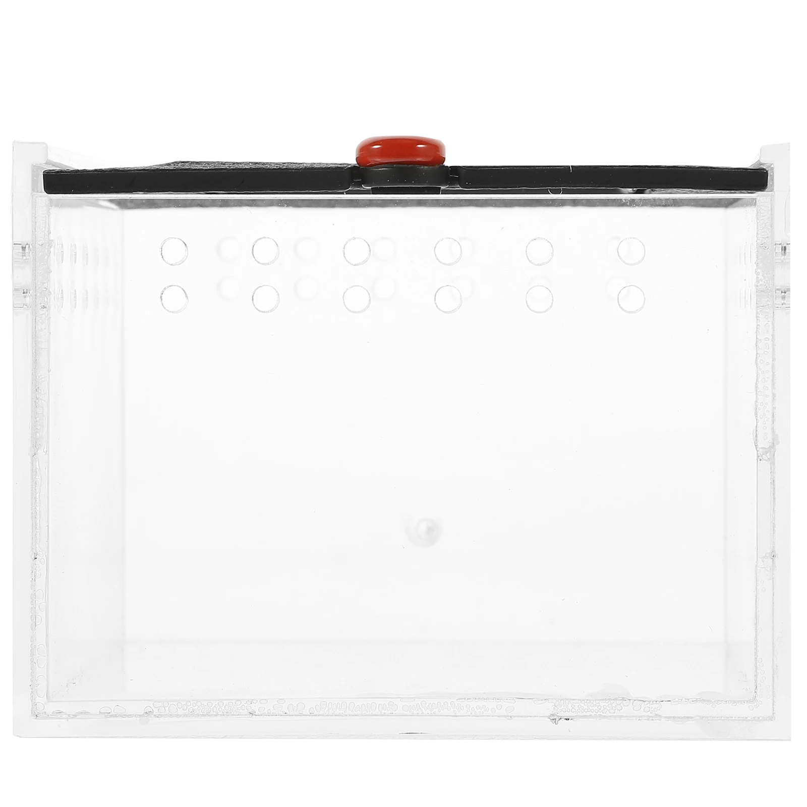 

Acrylic Container Reptile Feeding Box Ventilated Terrarium For Snakes Spiders Lizards Snails Frogs Insects Small Pets