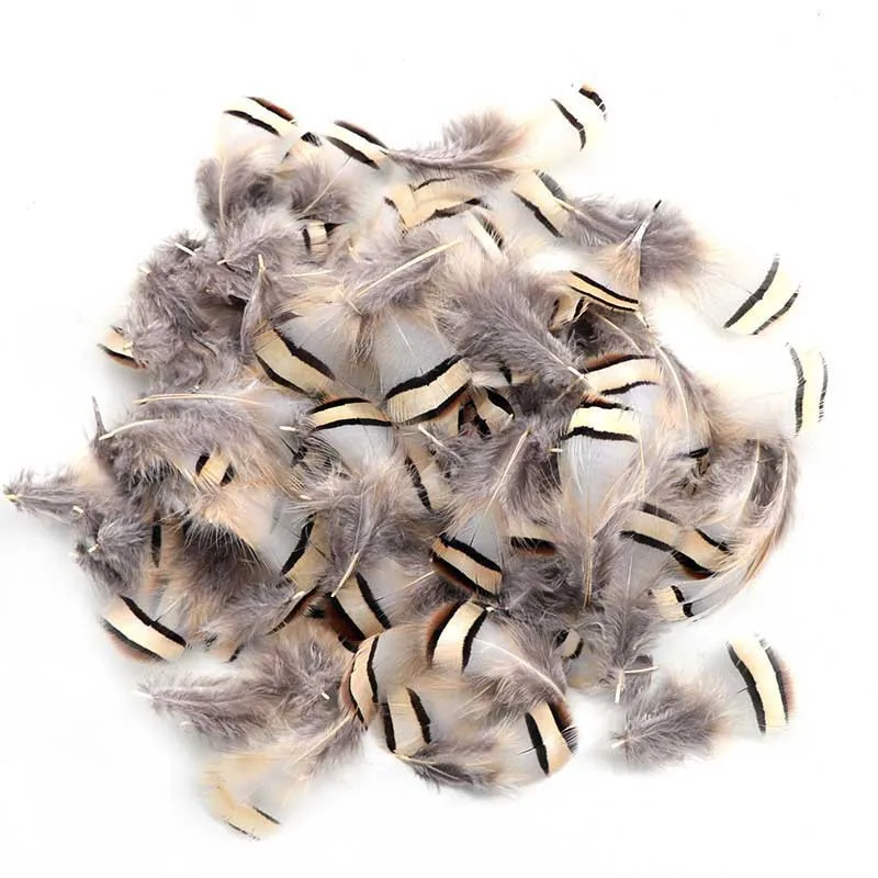 200Pcs  Chukar Partridge Hen Feathers, 3-7cm Natural Feathers for DIY Handmade Accessories, Dream Catcher & Handicrafts