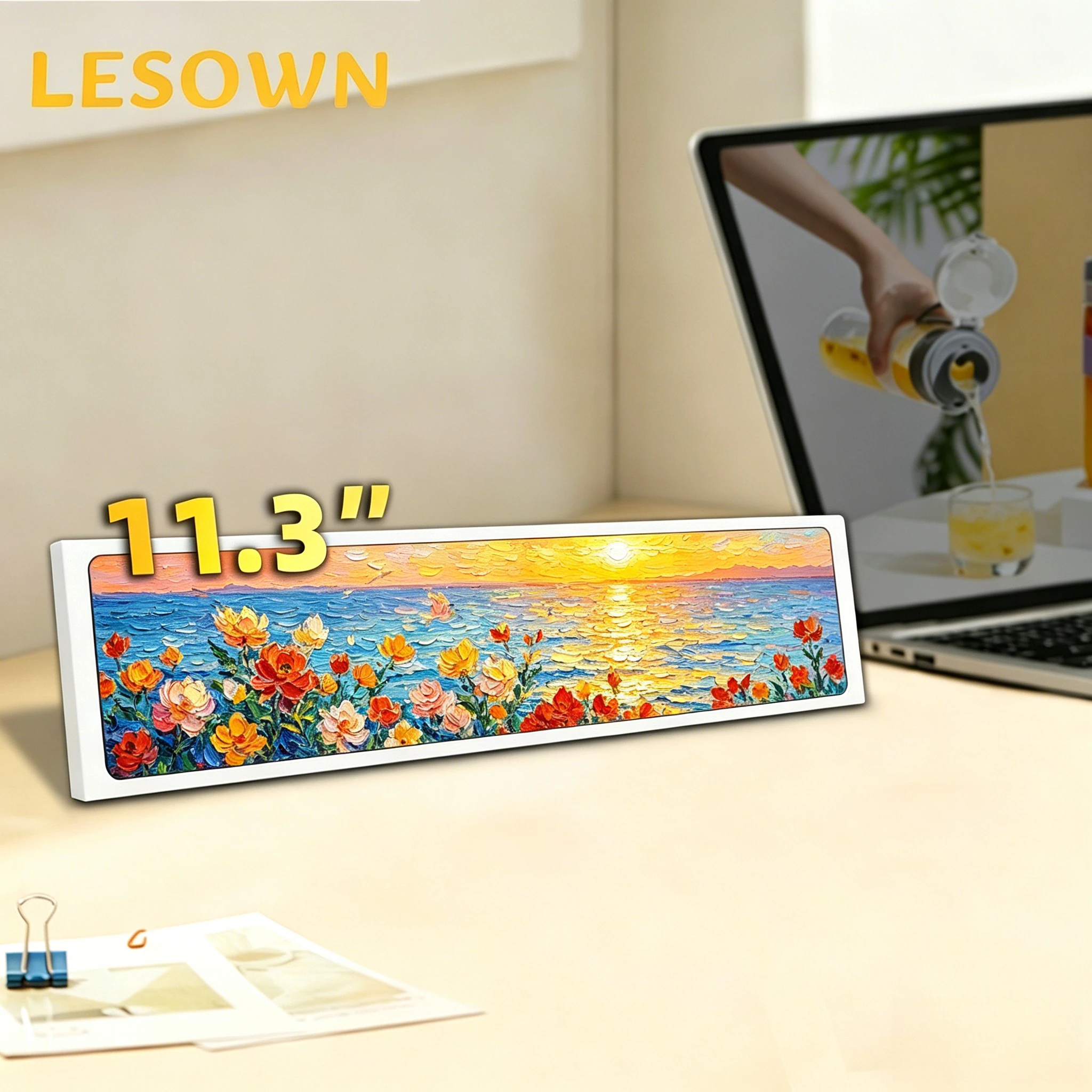 LESOWN 4:16 Strip Monitor 11.3