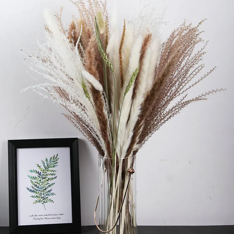 Luxury Rabbit Tail Pampas Grass Reed Gold Orbs Natural Dried Flowers Bouquet For Home Wedding Decoration Valentines Day Gift image 5