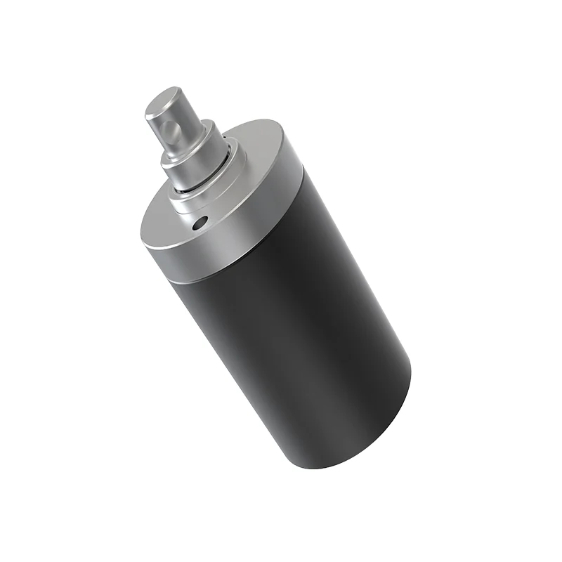 22 mm DC 12 V 24 V Planetengetriebemotor mit großem Drehmoment, Großhandelspreis, Untersetzungsmotor mit geringer Spule