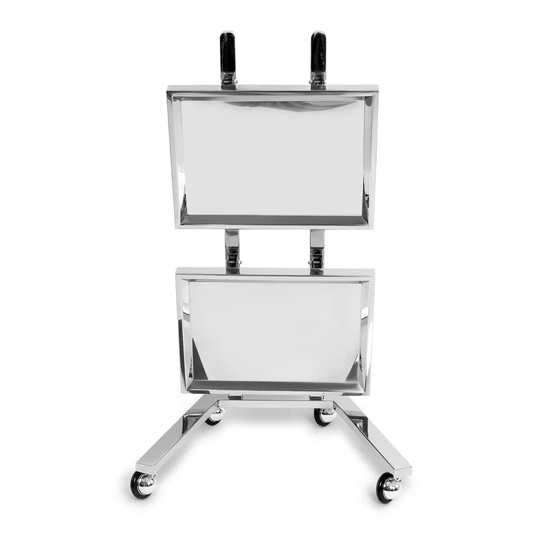 Stainless Steel Salon Trolley with Wheels and Shelves, Mobile Beauty Cart for Hair Salon, Spa, Nail Studio