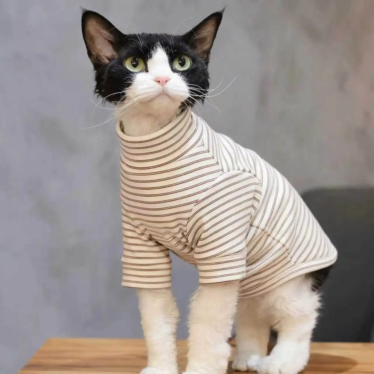 1Pc Cat Turtleneck Base Shirt, Warm Clothes For Sphynx & Devon Rex Cats, For Indoor Rest & Daily Wear, For Devon Rex Sphynx Cat,