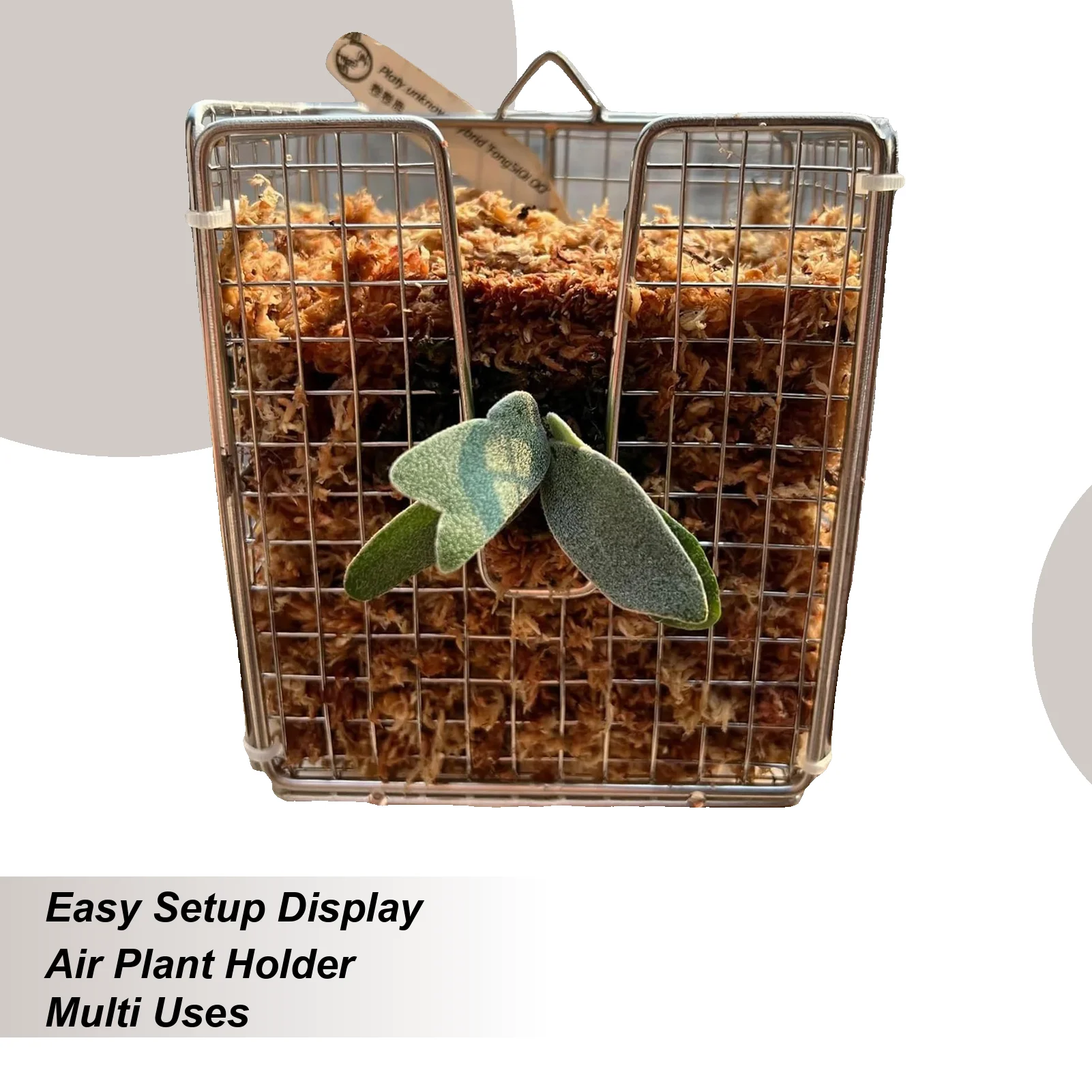 

Монтажный комплект для папоротника Staghorn, нержавеющая вертикальная подвесная корзина, корзина для орхидей, вертикальная для крыльца, спальни, сада, дома, гостиной