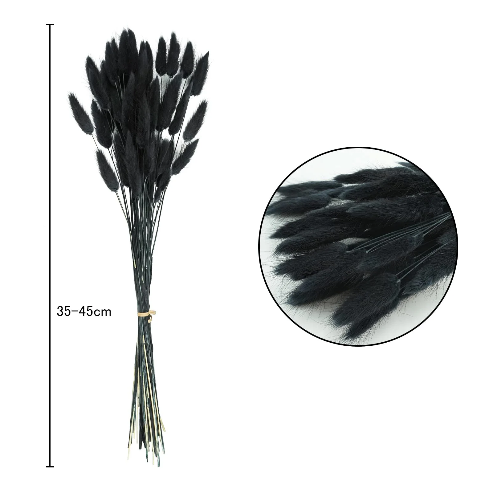 100pcs Natural Black Bunny Tails Dried Flowers Farmhouse Flower Arrangements,Lagurus Ovatus,Pampas Grass Decor for Wedding Craft