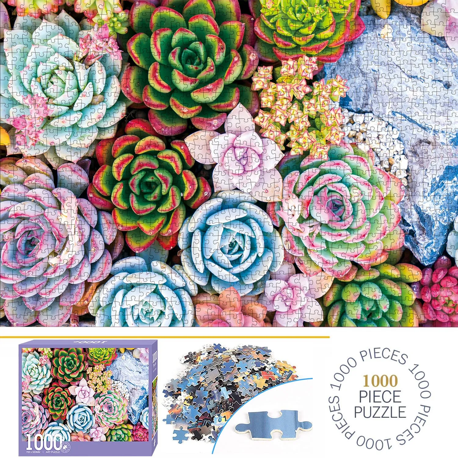 1000 Pieces Succulent Cactus Jigsaw Puzzles for Adults Home Decor Games Family Fun Floor Puzzles Educational Toys for Kids