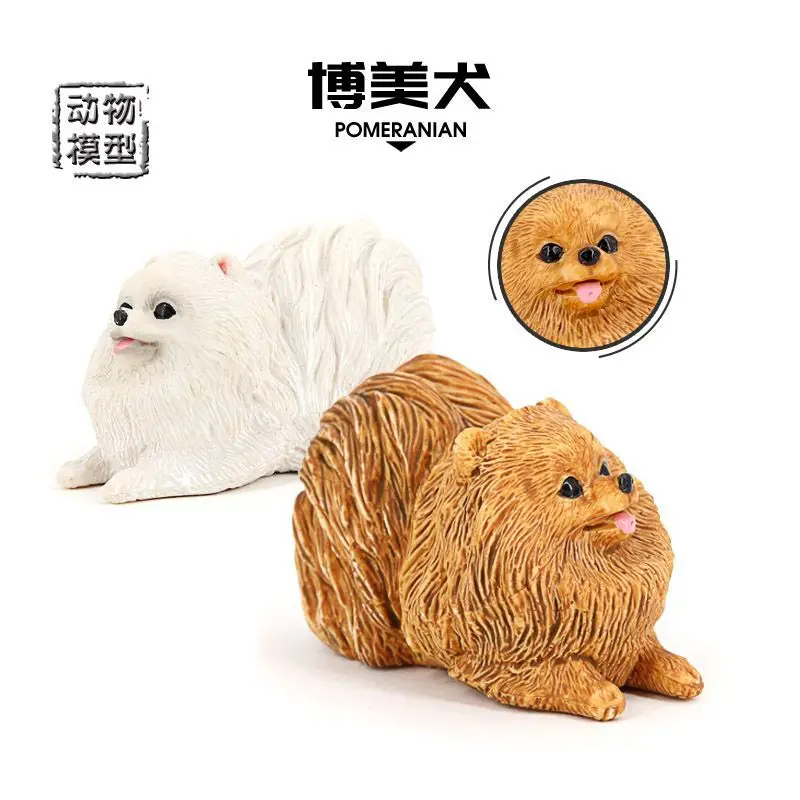 Simulation model solid Pomeranian squirrel dog children's toy world famous pet dog ornament figure