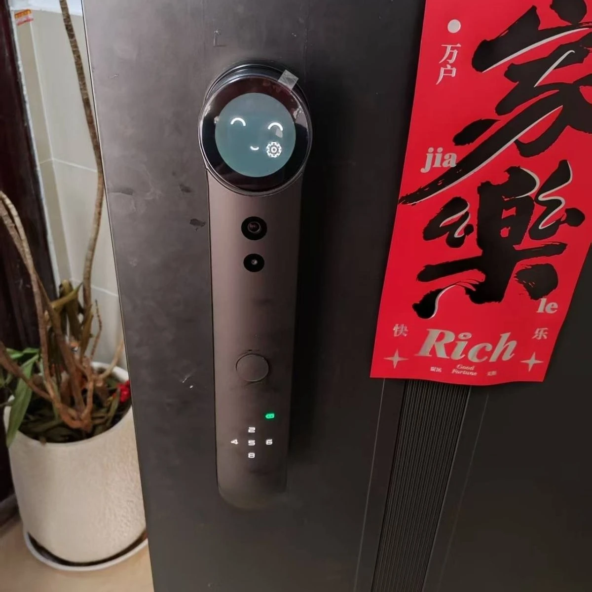 

Smart face door lock facial recognition vein cat eye visual new large screen