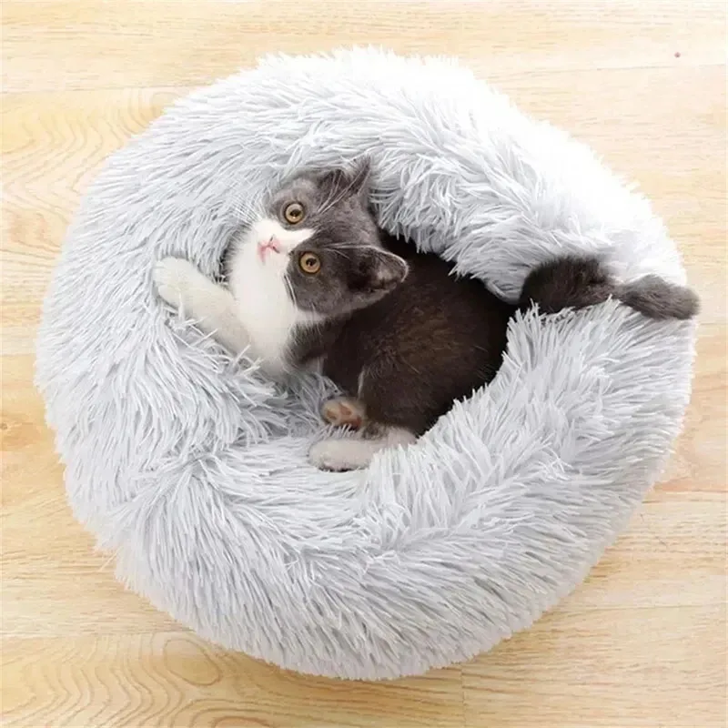Thumbnail 2 - #21 Best Rated Cat Beds to Buy in 2026