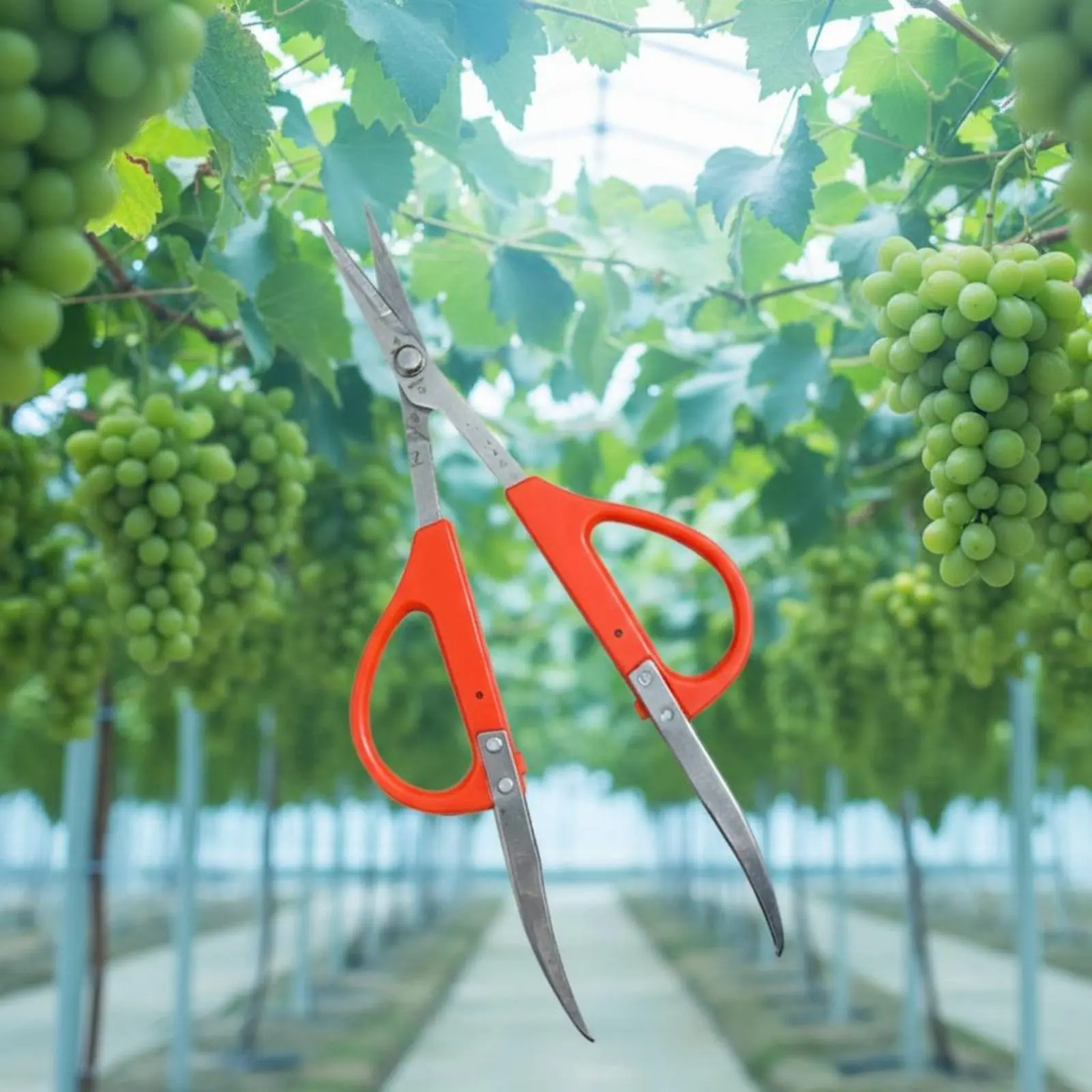 Tijeras de poda para frutas mango ergonómico pinza – Corte limpio - imagen 3