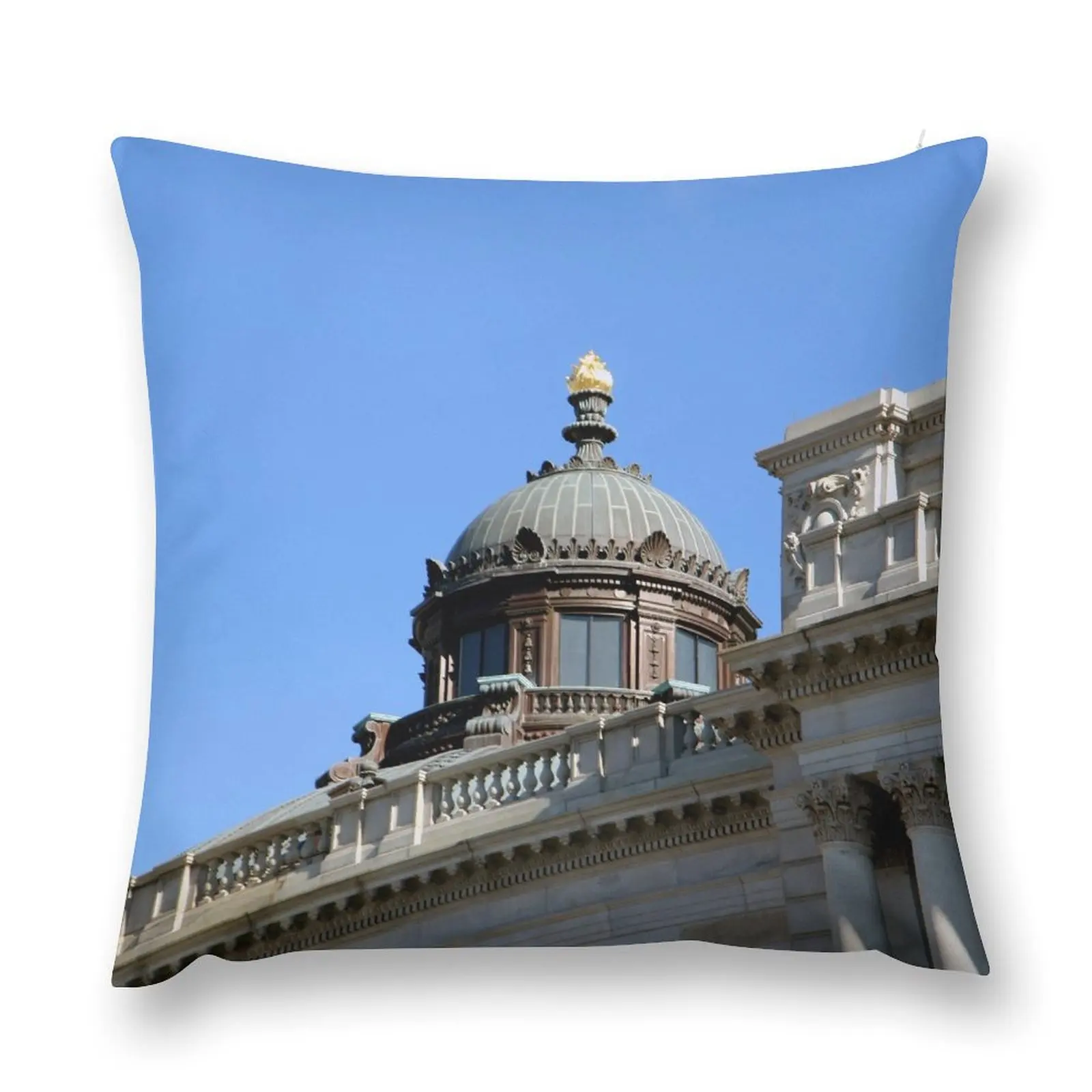 Fire of Learning Throw Pillow Pillowcase covers for pillows Christmas Pillow Covers pillow