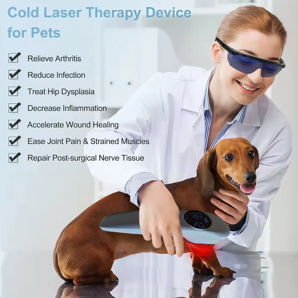 

Lllt Low Level Laser Therapy Machine 650nm 808nm Red Light Laser Treatment Device Handheld for Pain Relief Health Care