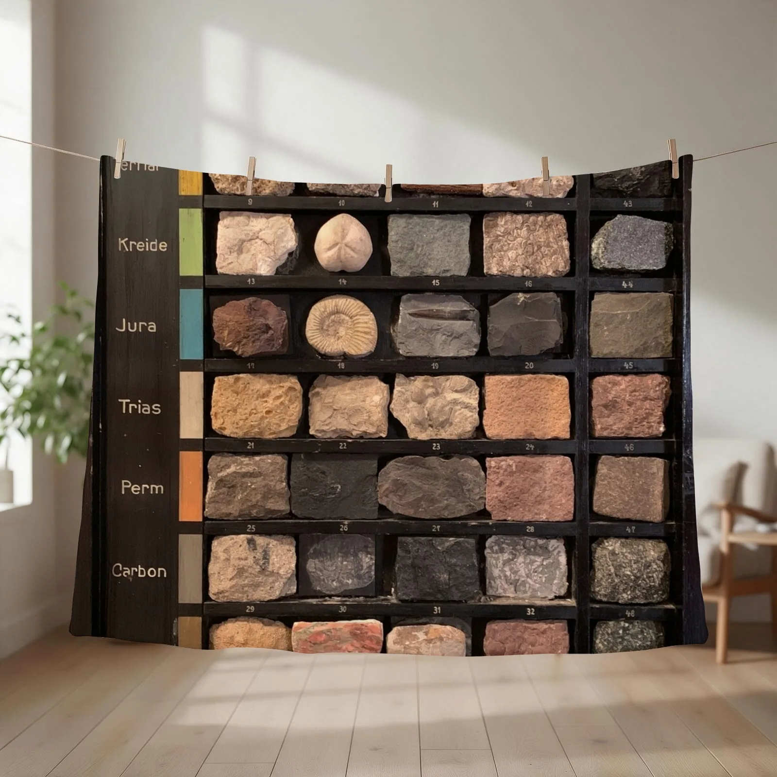 Geological Rock Samples from a School Throw Blanket couch cozy soft plush fuzzy picnic outdoor blanket