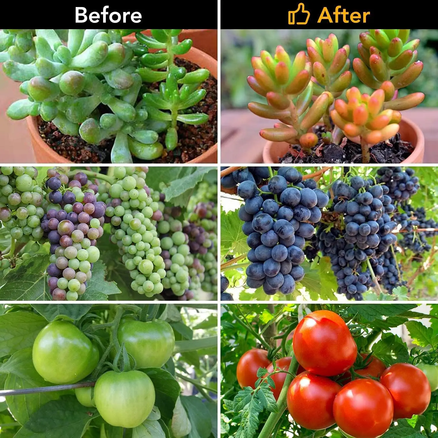 Grow Light Plant Light Indoor Plants, Full Spectrum Clip Plant Growing Lamp,10-Level Dimmable,3/9/12H Timer,Adjustable Gooseneck